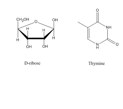 Chemistry homework question answer, step 2, image 1